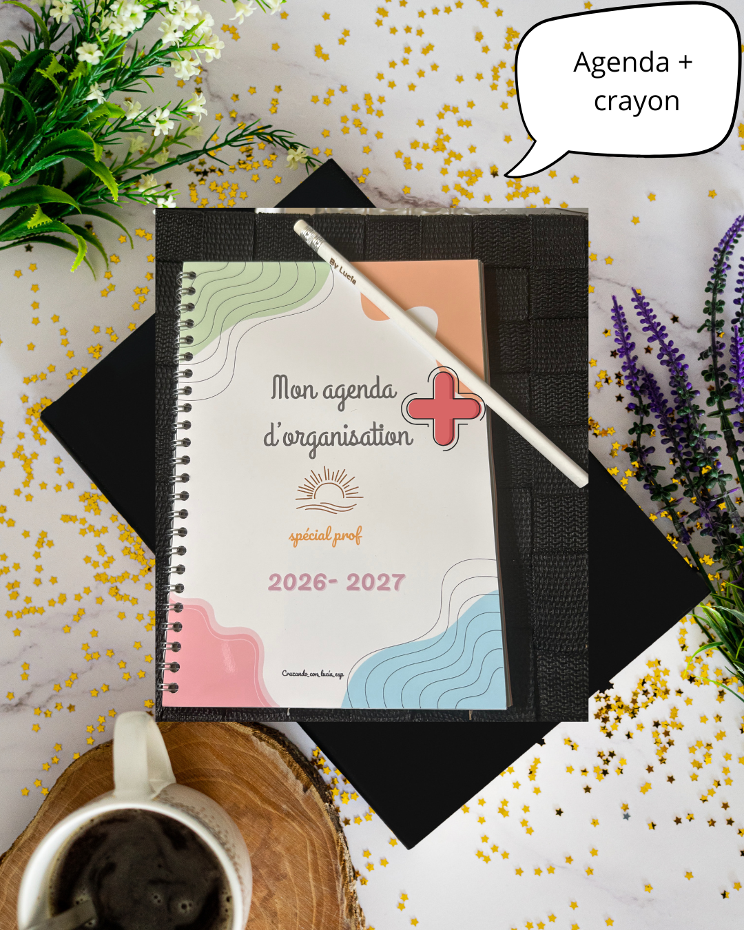Agenda physique spécial professeur pour collège et lycée